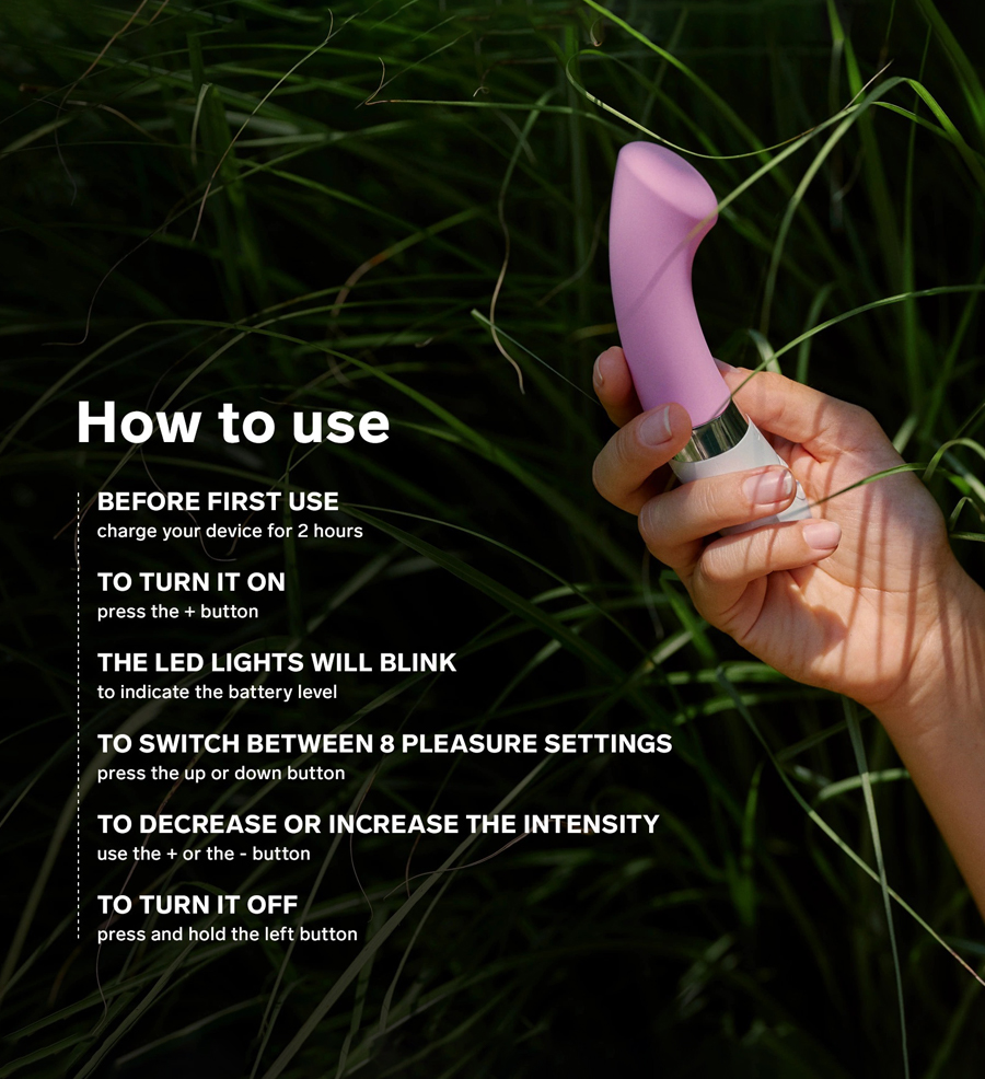 Lelo Gigi 2 Harga dan Review