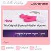 LOVENSE Vibrator Couple