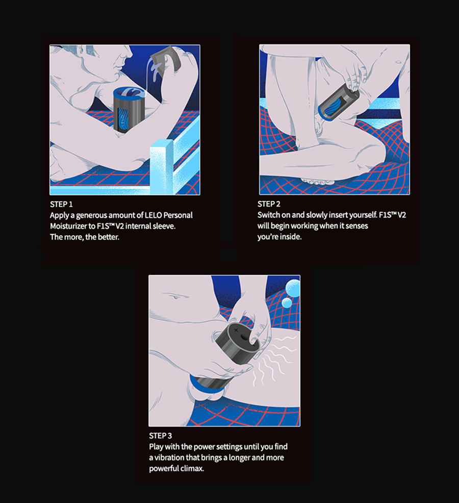 LELO F1S V2 How To