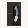LELO Gigi2 Cool Gray Packaging
