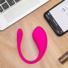 Remote Control Vibrator