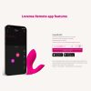Remote-controlled Sex Toy