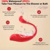 SVAKOM Phoenix Neo 2 Vibrator Waterproof