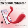 SVAKOM Phoenix Neo 2 Wearable Vibrator