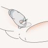 Rabbit Style Vibrator