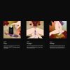LELO Elise 2 How To