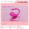 LOVENSE Lush 4 HowTo-1