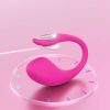 Fast Charging Vibrator