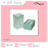 WE-VIBE Melt 2 Sage Packaging