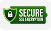 Secure icon