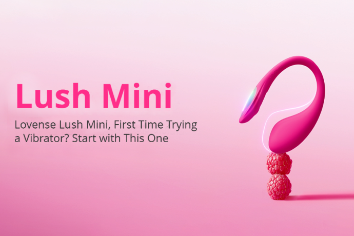 Vibrator for Beginners