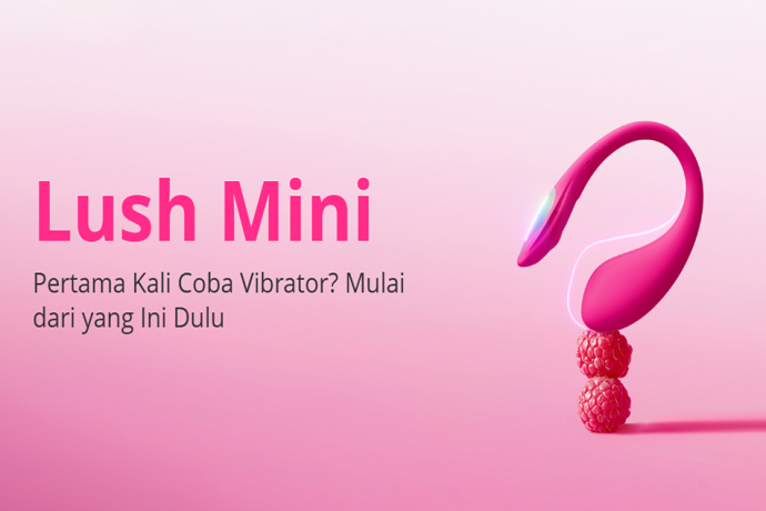 Vibrator Untuk Pemula